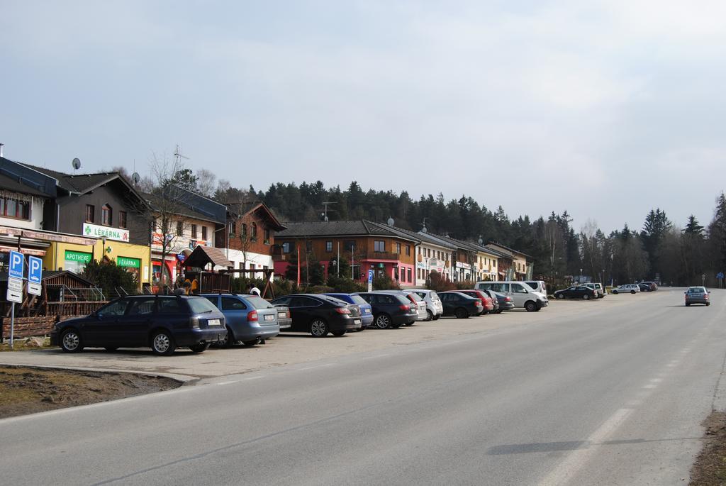 ホテルTravel Lipno リプノ・ナト・ヴルタヴォウ エクステリア 写真