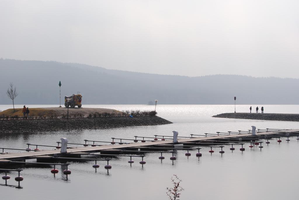 ホテルTravel Lipno リプノ・ナト・ヴルタヴォウ エクステリア 写真